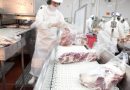 Las exportaciones de carne bovina aumentaron en el primer semestre