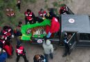 Treinta tigres y leones rescatados en Argentina viajan a EE.UU. y Sudáfrica
