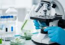Hantavirus: el Gobierno destacó el trabajo del Malbrán y defendió la salida de la OMS