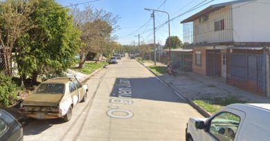 Un perro pitbull mató a una beba de cinco meses en Malvinas Argentinas