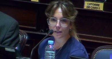 Diputada bahiense propone blindar la privatización de empresas públicas bonaerenses