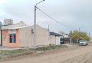 Dos perros dogos atacaron a un chico en Toay: lo mordieron en la cabeza y en el cuerpo