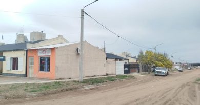 Dos perros dogos atacaron a un chico en Toay: lo mordieron en la cabeza y en el cuerpo