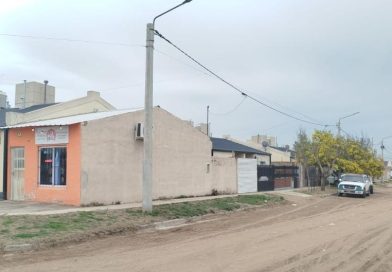 Dos perros dogos atacaron a un chico en Toay: lo mordieron en la cabeza y en el cuerpo
