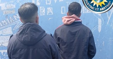 Viedma: detuvieron a un joven tras intentar robar una moto