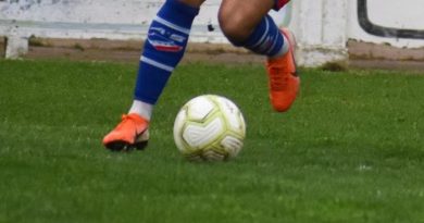 El Tribunal de Penas de la Liga del Sur dio a conocer las nuevas sanciones
