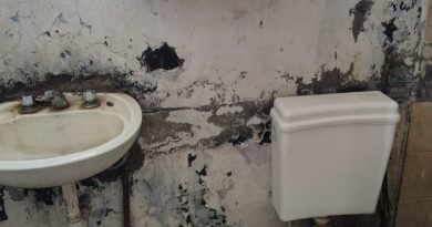 “Condiciones deficientes”: relevaron las condiciones laborales en un establecimiento rural de Puan