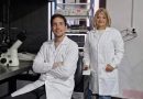 Científicos bahienses realizan un avance clave para entender el impacto del cannabis en el cerebro