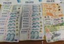 Aprehendieron a dos personas por robar en un comercio de Bahía Blanca