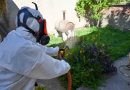 Se realizará una campaña de prevención del dengue en el barrio Villa Rosario
