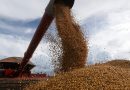 Brasil mejora su previsión para la cosecha de granos de este año pese a El Niño