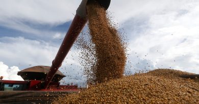 Brasil mejora su previsión para la cosecha de granos de este año pese a El Niño