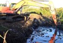 El Niño en Argentina: la provincia de Santa Fe decretó la emergencia hídrica hasta abril