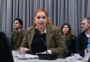 Banfi cuestionó la ausencia de senadores de Kicillof en la votación sobre Zona Fría