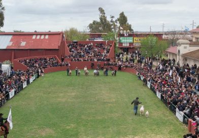 El HCD estará presente en la 142° Exposición Nacional de Ganadería, Comercio e Industria