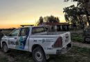 Villarino: allanaron un establecimiento rural por abigeato