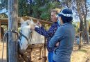 Un robo golpeó a la Fundación Nelquihue y dejó a los animales sin elementos indispensables