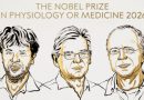 El Nobel de Medicina fue otorgado por el uso de la luz para estudiar las células y las neuronas
