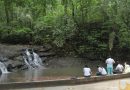 Desde la ONU creen que aún es posible “revertir la pérdida de biodiversidad”
