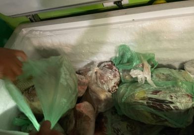 Allanaron una vivienda en Juan A. Pradere por el robo de 20 corderos