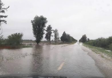 Alerta vial en la ruta 35, entre Jacinto Arauz y San Martín